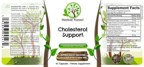 Cholesterol Support