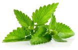 Pride of India – Mint Leaf Whole – Cut & Sifted for Convenience of Use – Good for Culinary Uses – Ideal for Tea/Beverages – Easy to Store – 3.53 oz. R
